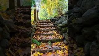 Stair Step Breathing for Anxiety Relief | A Gentle Guided Practice
