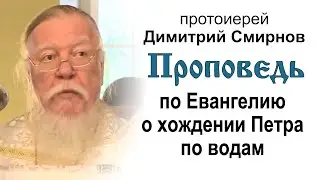 Проповедь по Евангелию о хождении Петра по водам (2013.08.25). Протоиерей Димитрий Смирнов