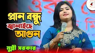 আমার প্রাণ বন্ধু জ্বালাইছে আগুন | শিল্পী মুন্নী সরকার | Munni Sarkar Bicched Song 