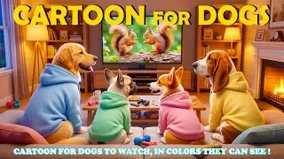 Relaxing DOG TV Cartoon🎵Cute Animation Designed for Dogs to Watch🎨Peaceful Mood, Happy Dog at Home