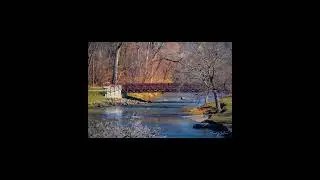 This is Freeport IL