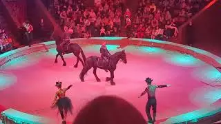 Kyiv circus 🎪 Halloween 2(5)