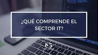 &iquest;Qu&eacute; comprende el sector IT?