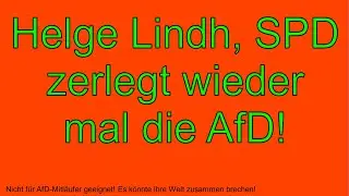 Helge Lindh, SPD - Zerst&ouml;rt und zerlegt Stephan Brandner von der AfD und die AfD dazu _D