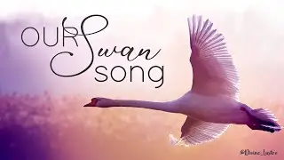 Podcast Episode 20 - Our Swan Song