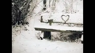 Незнакомцы
