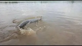 Yeldari Dam madhla ha motha masa