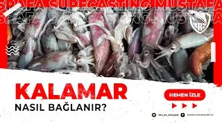 Canlı Yem Kalamar İğneye Nasıl Bağlanır? - Mustafa Surfcasting