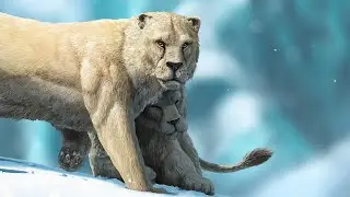 The Largest Cat To Ever Walk The Earth : American Lion