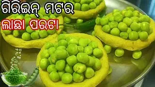 ମଟର୍ କଚଡି ନୁହେଁ ମଟର ପରଟା ଏତେ ସୁଆଦିଆ ବନିବଜେ  ଆପଣ ଭାବିପାରିବେନି // How Green Matar Paratha Recipe Odia