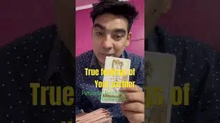 True Feelings of your partner #tarot #astrology #astrology