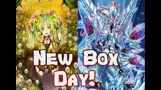 New Box Day![Yu-Gi-Oh! Duel Links]