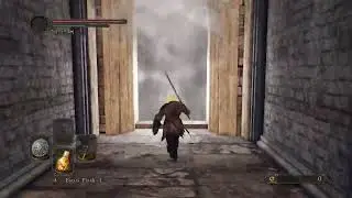 Dark Souls 2 SoftS | EASY PARRY, nvm