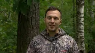 В курсе дела. Выпуск 362