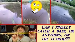 FLYFISHING - HAS THE OLD DOG LEARNED A NEW TRICK?