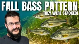 Fall Bass Fishing Tips (Catch More Bass in These Spots)