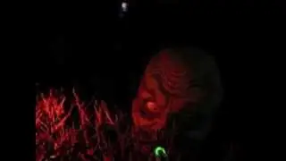 Creepy Peeper 1