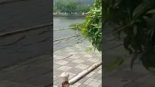 Amingaon//Guwahati//DC office//Assam//Assames song//Zubeen Garg
