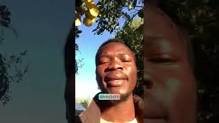 How Americans Sound Speaking Pidgin English #pidgin #pidginenglish #nigerianenglish #accent