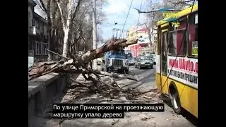 Новости Одессы 02.04.2012