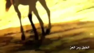 شيلة الخيل رمز العز
