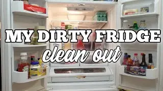 Cleaning My Dirty Fridge