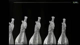Vertical beer evolution into beacon paradise as a black and white silent movie