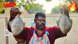 BLACK POMFRET(கருவாவல் மீன்) FISH CUTTING💥| KASIMEDU SELVAM FISH CUTTING | FULL HD | CKFC🔪
