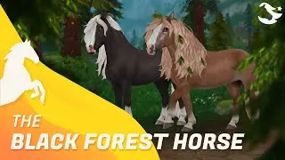 The Black Forest Horse🌲 ✨ | Star Stable Horses