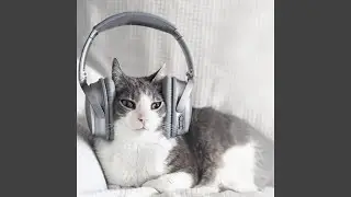 Ambient Music Feline Euphoria