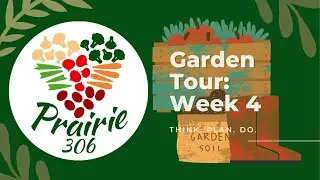 Prairie.306: Garden Tour Week 4! June 20 2021