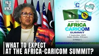 CARICOM SG Carla Barnett speaks about the Africa-CARICOM  summit in Addis Ababa