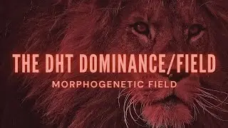The DHT dominance/morphogenetic field