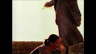 Glasson's 2004 Nz Ad