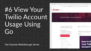 6.  How to View Your Twilio Account Usage Using Go