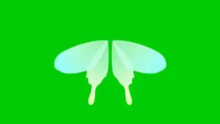 Animated 3D Beautiful Butterfly wings with green screen background | 4K