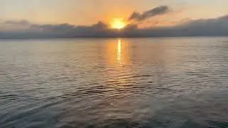 SUNRISE LIVE WALK for PEACE, MAR 1, 2022 Dania Beach, Florida