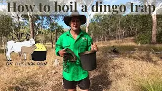 Boiling Dingo Trap