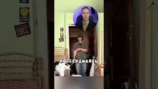 Кошка помогла хозяйке разбогатеть 😄 #кот #shorts