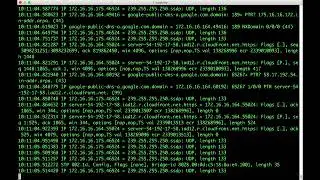 17-4   Tcpdump Data Input, Output, and Analysis
