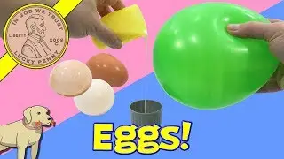Totally Gross Science Lab Experiments - Beans - Sludge & Eggs!