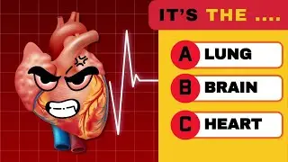 Guess the Organ! 🫀🧠 Human Body Quiz & Riddles for Kids | Fun Learning Challenge