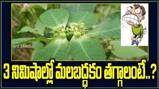 మలబద్దకం త్వరగా తగ్గాలంటే.?  Malabaddakam Nivarana In Telugu || Constipation Home Remedies