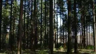 Pr&eacute;sentation de la F&eacute;d&eacute;ration Nationale des Communes Foresti&egrave;res de France (FNCOFOR)