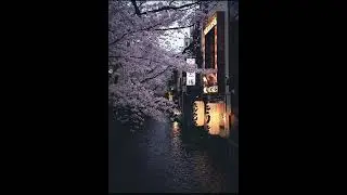 [FREE] ED SHEERAN TYPE BEAT 