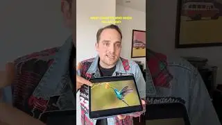 French Makes No Sense: &ldquo;Bird-Fly&rdquo;