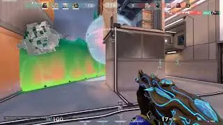 still all aim no brain