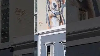 Cape Town Graffiti #smates #daily #art #animals #dog #streetstyle #graffiti #shorts