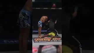 UFC Sportsmanship and Respect Moments 🙏 #ufc #mma #respect