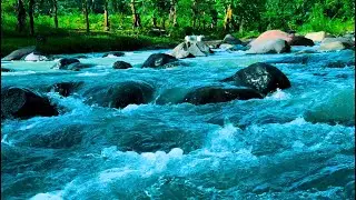 Mountain River Waterfall Flowing 24/7. Water Sounds, Nature White Noise. River Sounds for Sleeping.